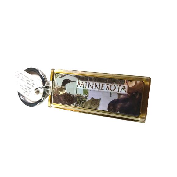 Minnesota Acrylic Keychain Solar Powered Holly - Picture 1 of 11